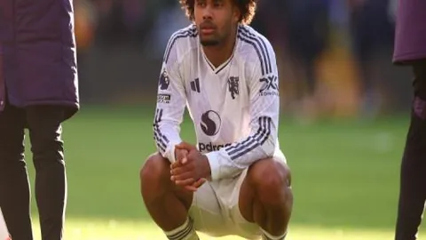 “2025熊猫伙伴全球峰会：共话人自然和谐共生未来盛大开幕”